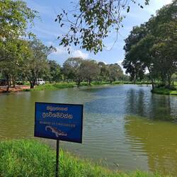 Nicht nur eine simple Warnung...