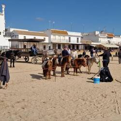 Sieht das nicht super aus?