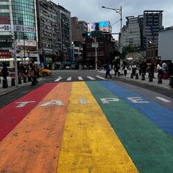 Seit 2019 das erstes asiatisches Land die Ehe für alle eingeführt.