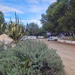 Campingplatz von Chefchaouen