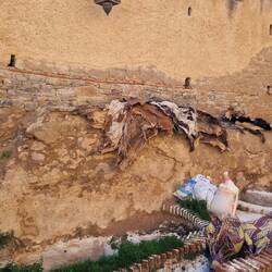 Häute, es stinkt erbärmlich