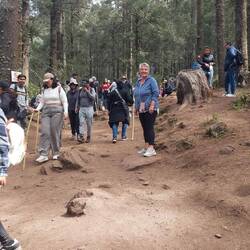 Höher und immer höher