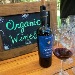 Auf den Spuren der Weinfreunde .