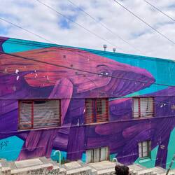 Beide in Originalröße gezeichnet.