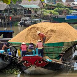 Anlieferung der Reishülsen als Brennstoff per Schiff