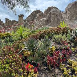 Beautiful landscaping