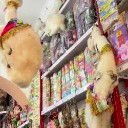 Herbs, amulets, dehydrated animals