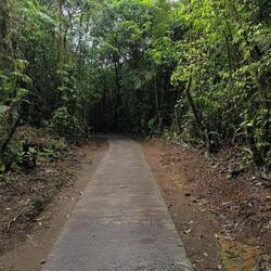 Und ich habe meine Wanderschuhe an!!!