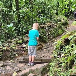 Der springt über jeden Stein...