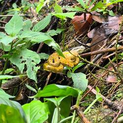 Die sollte man besser nicht anfassen