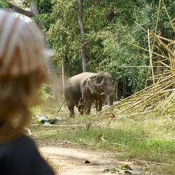 Karlotta beobachtet ganz gespannt
