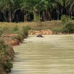 Badespaß mit Peanut