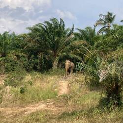 Er kommt auf uns zu 🙂