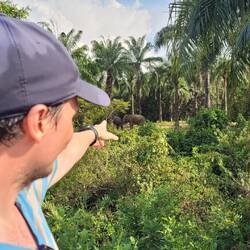 ...daaaaaa sind die Elefanten