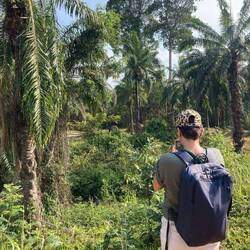 Wo sind die Elefanten?...