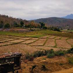 Ausblick beim Kaffeetrinken beim Nakhoun Cafe & Farm Stay.