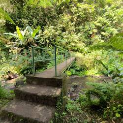 Über sieben Brücken musst......