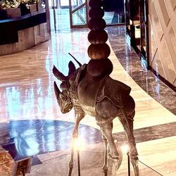 Looking down on Dali's Cosmic Rhinoceros