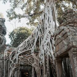 Drehrt von Tomb Raider