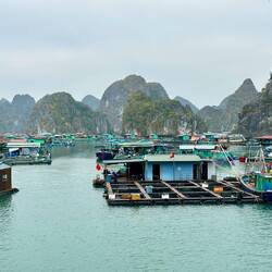 More of the floating village