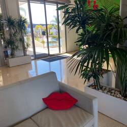 Reception riesengross.hat Alles schnell geklappt