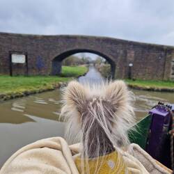 Goodbye to the Ashby, hello Coventry Canal
