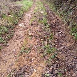 Eigenartig...das Navi sieht dies hier nicht als Straße an... habe ich schon anders erlebt...😜😜😜