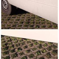 Auch die Gänseblümchen unter dem LT genießen die Sonne 😎