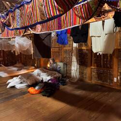 Jolie schläft ganz alleine im Backpackerbereich.