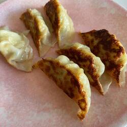 Gyozas de pollo