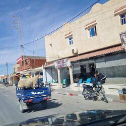 Take me for a Ride Baby