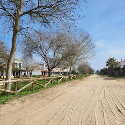 Hier wären wir mit Pferden besser bedient.