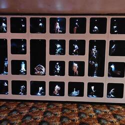 Wall of collectibles
