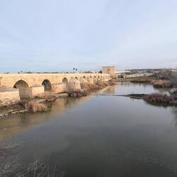 Die römische Brücke