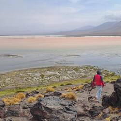 Rote Lagune mit pinken 🦩🦩🦩