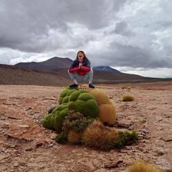 ... Und auch weitere seltene Mona Gattungen wurden auf der Reise gesichtet.