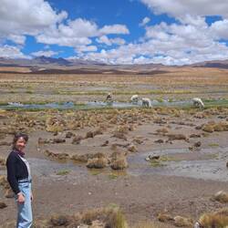 UND LAMAS 😍😍😍