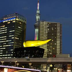 The golden poop 😅