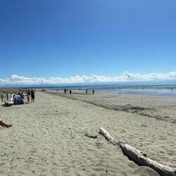 Der Strand in Nelson war überraschend voll