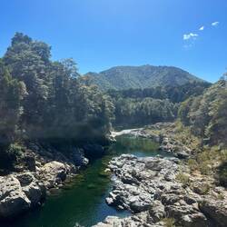 Pelorus Bridge