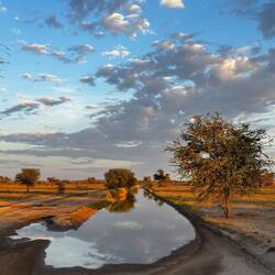 Landschaft mit natürlichem Wasserloch