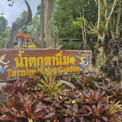 Tarnim Magic Garden
