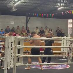 Fight! Nichts für schwache Nerven!