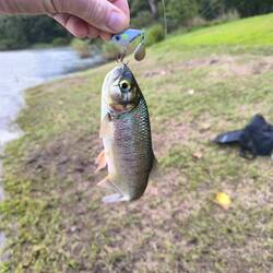 Und das ist mein erster Fisch...