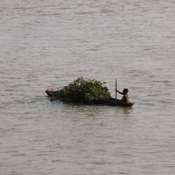 ... irgendwann verzogen hat...