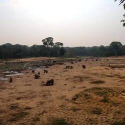 Da ist jemand unzufrieden