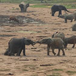 Es wird interagiert...