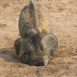 ...tief gebuddelt...