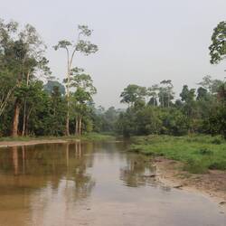 ...machen wir uns auf den Weg zur Dzanga Bai