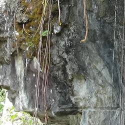 "Das Gesicht Christi"